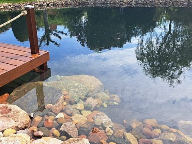 Heideteichbau_Wasserplanzen