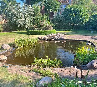 Heideteichbau_Angelegter_Teich