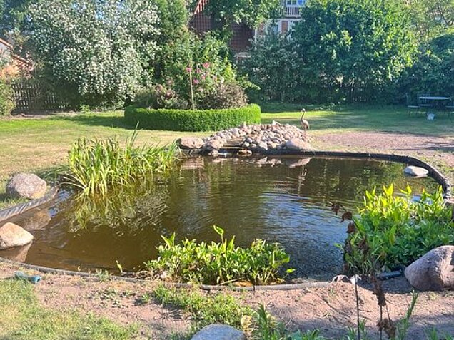 Heideteichbau_Teichbau